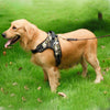 Adjustable Dog Harness - 6 Colors