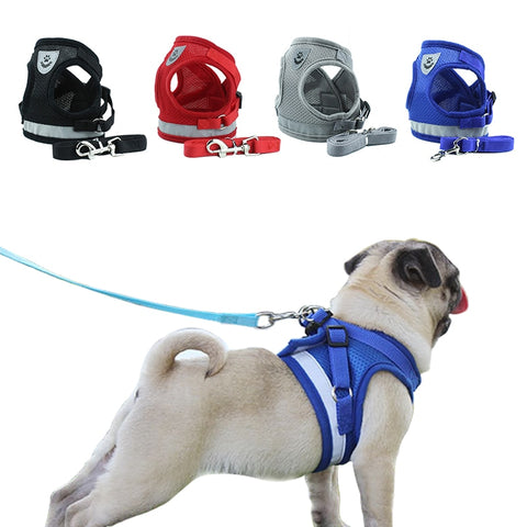 Dog Harness Vest Reflective Walking Lead Leash for Puppy,Small and Medium Dog