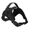 Adjustable Dog Harness - 6 Colors