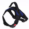 Adjustable Dog Harness - 6 Colors