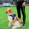 Adjustable Dog Harness - 6 Colors